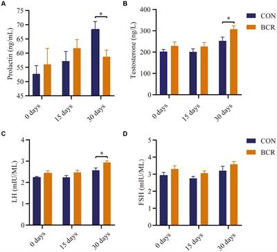 Prolactin inhibitor changes testosterone production, testicular morphology, and related genes expression in cashmere goats